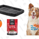 National Dog Day Deals | Chewy